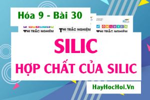 Tính chất hóa học của Silic (Si), Silic dioxit (SiO2) và công nghiệp Silicat - Hóa 9 bài 30